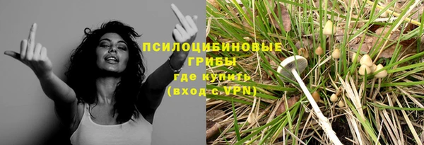 трава Алексин