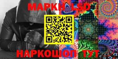 PSILOCYBIN Ярославль
