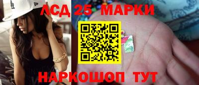 PSILOCYBIN Ярославль