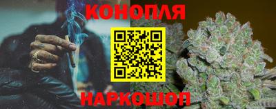 PSILOCYBIN Ярославль