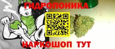 прущие грибы Янаул