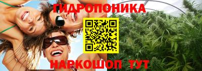 прущие грибы Янаул